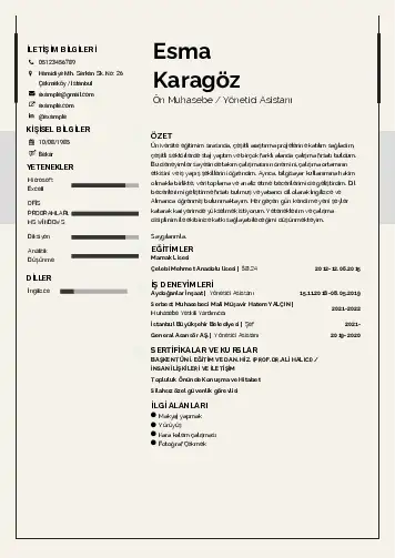 Yönetici Asistanı Cv Örnekleri cv indir